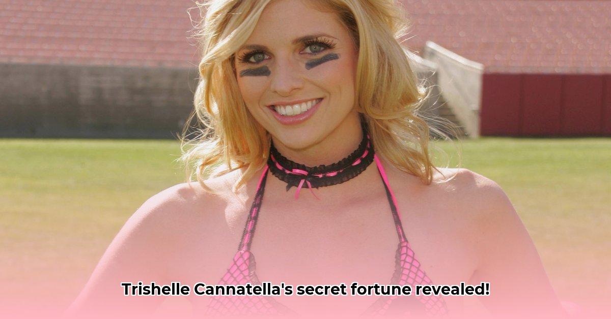 trishelle-cannatella-net-worth